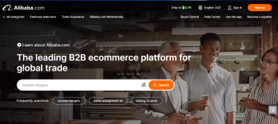 largest b2b ecommerce websites