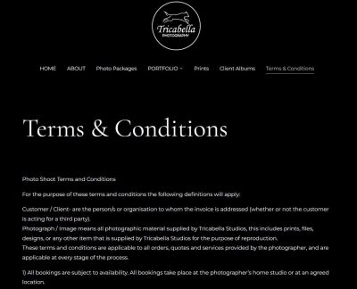 keep visitors engaged on portfolio website