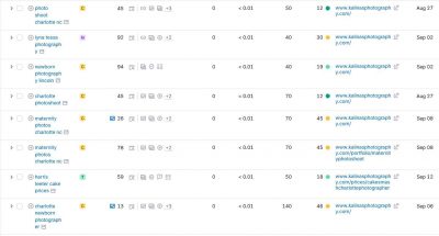 Growing E-Commerce Brand Beyond Social Media